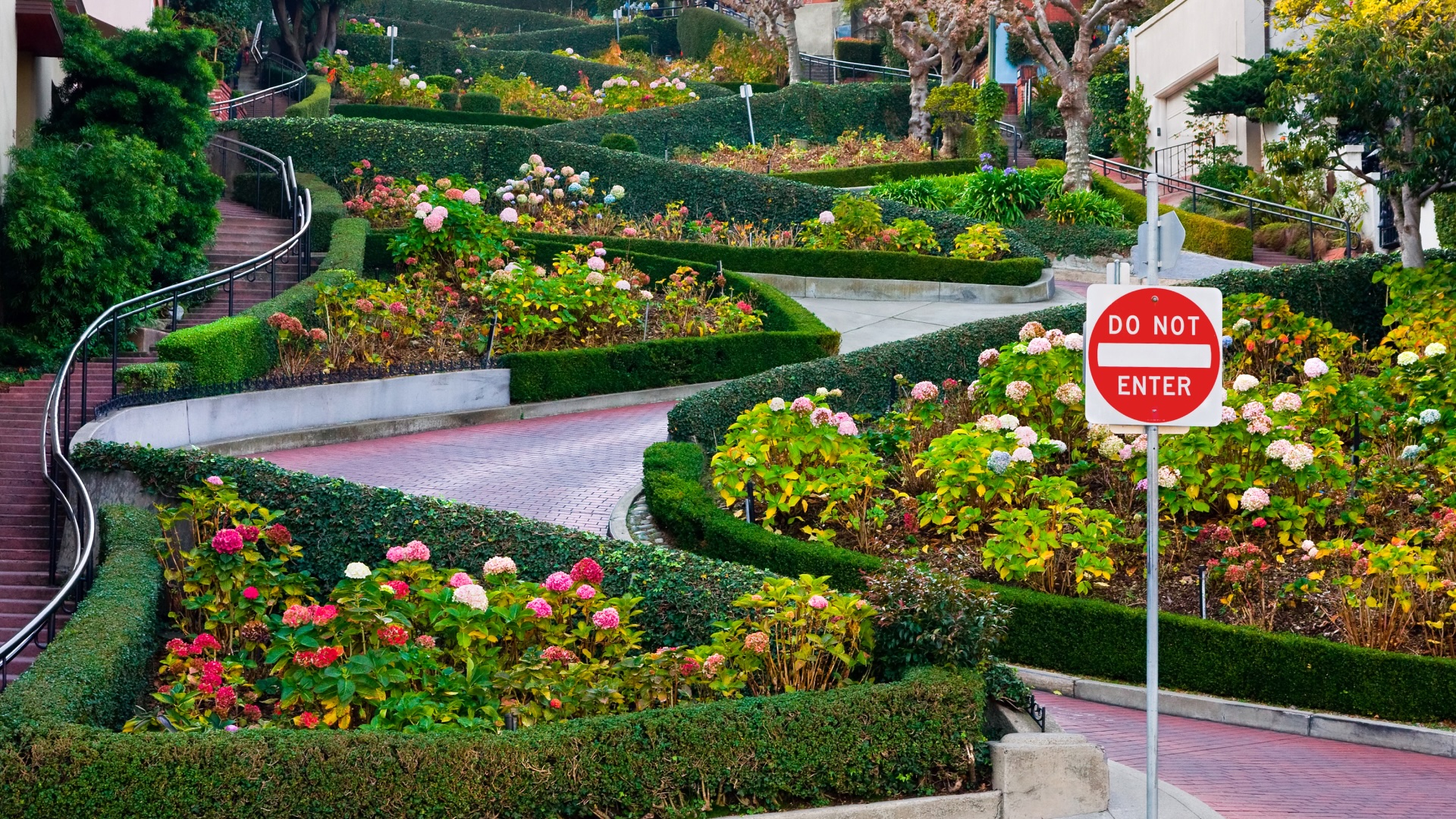 From Gardening to What is Procurement?