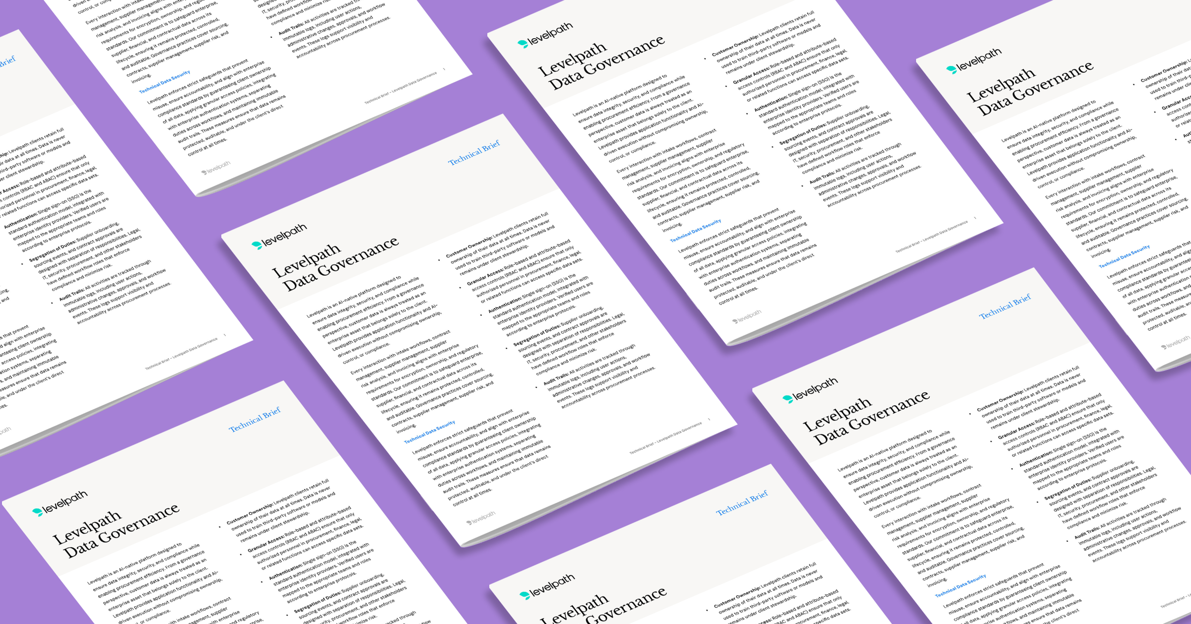 Levelpath Data Governance PDF