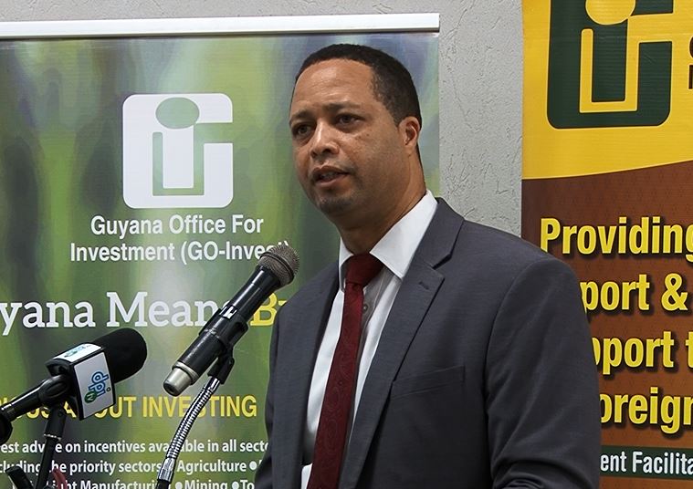 ‘Tremendous’ interest in the oil and gas sector – Go-Invest CEO