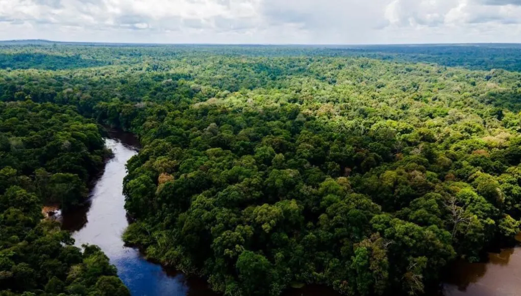 Guyana’s carbon credit earnings reach US$353M, funds nearly 3,000 community projects