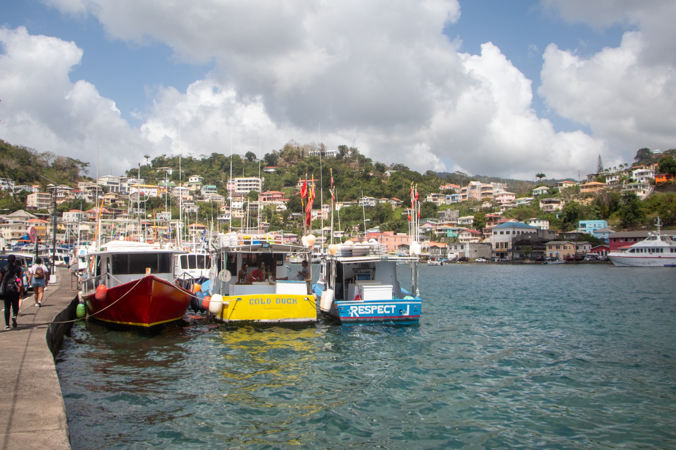 Grenada sees ‘immense’ oil & gas potential offshore 