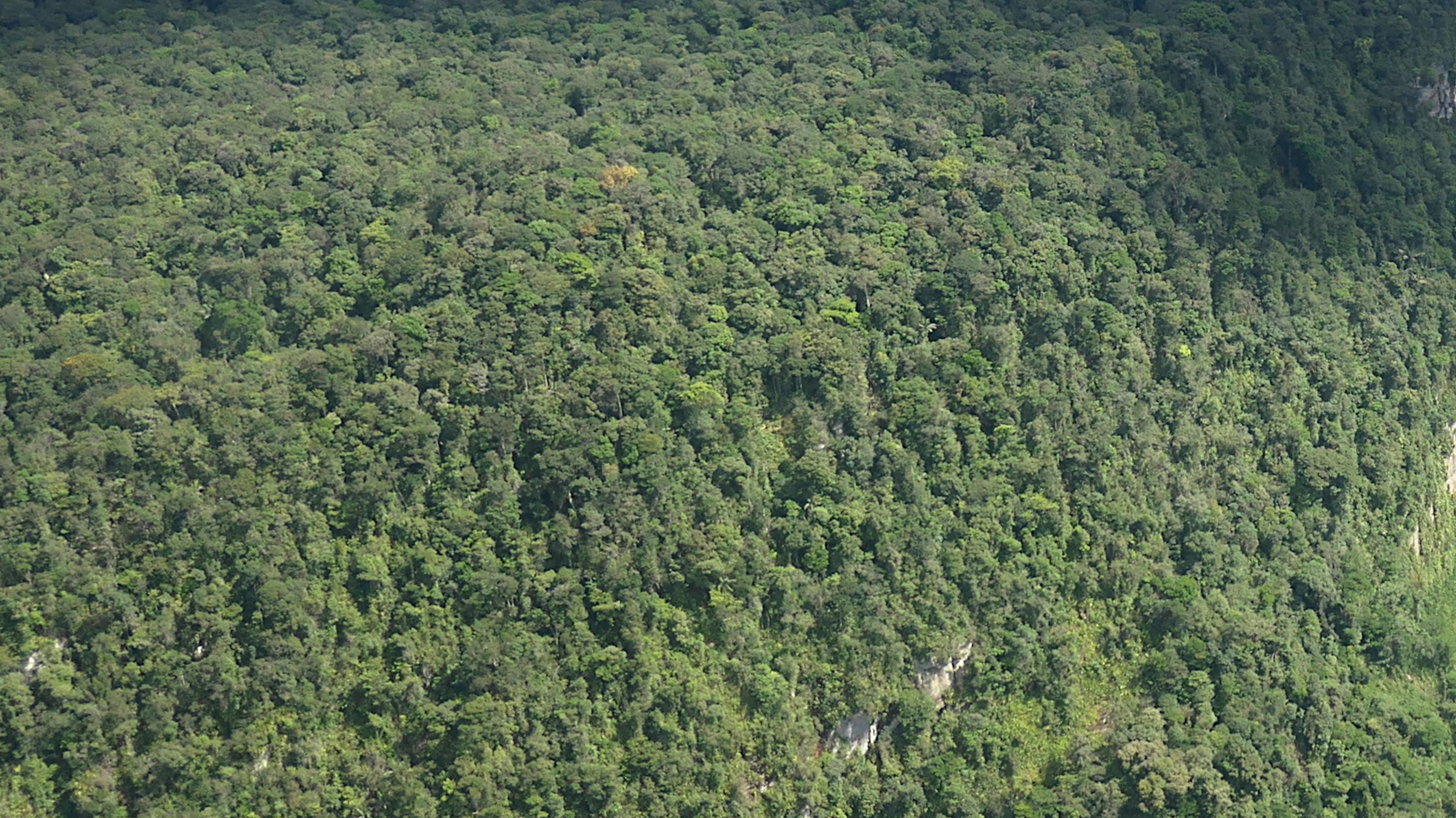 Black Gold, Green Land: We Teking Ah Both