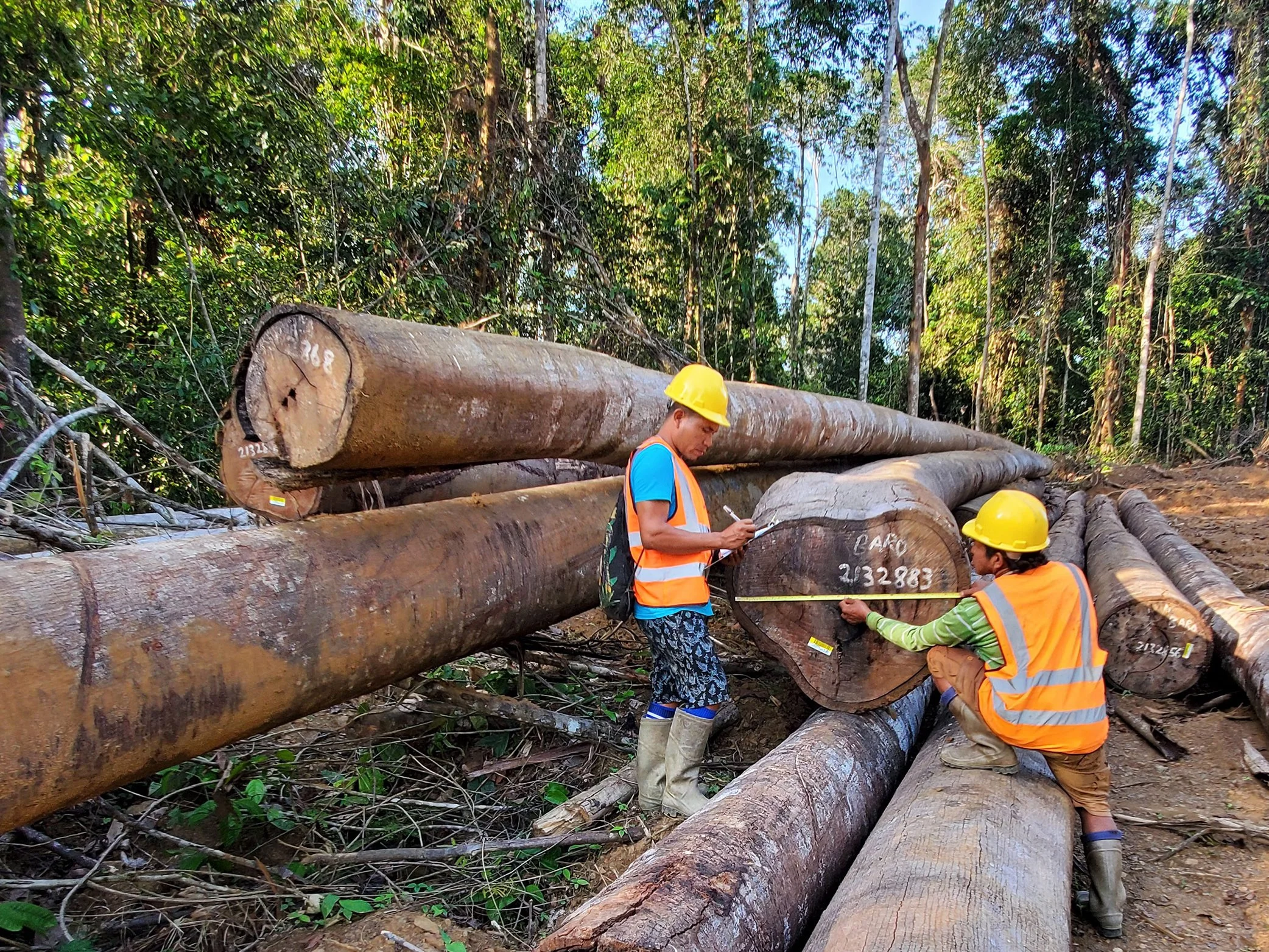 Berbice loggers to get opportunity to enter mining