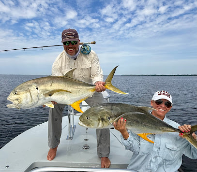 Shallow Water Expeditions