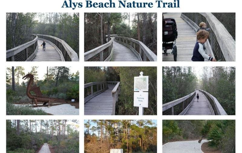 Alys Beach Nature Trail