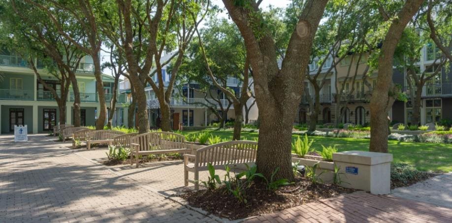 Native Trees Provide Shade in Seaside FL