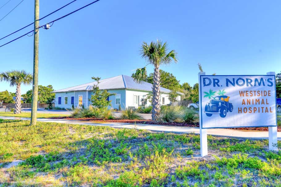 Dr. Norm's Westside Animal Hospital