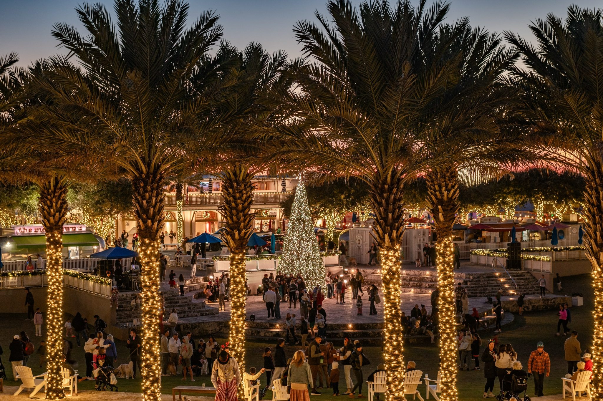 Christmas tree and palm trees covered in holiday lights on 30A Florida