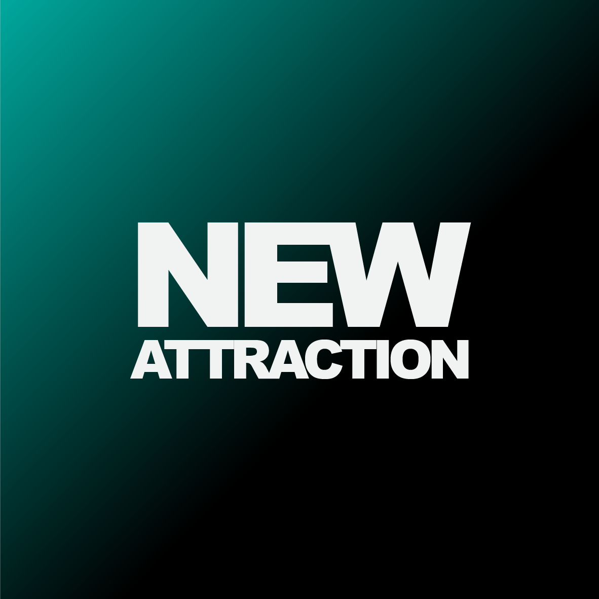 New Attraction