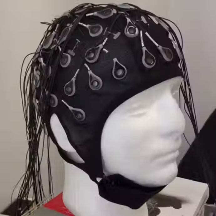 ELDA's EEG cap