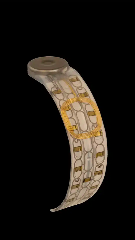 Phantom limb interface