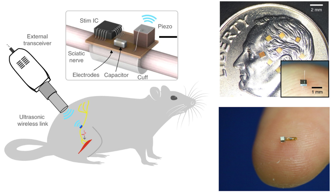 Figures explaining Neural Dust