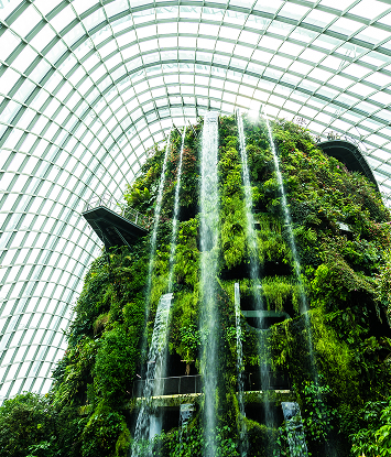 Carbon Neutral  Drive