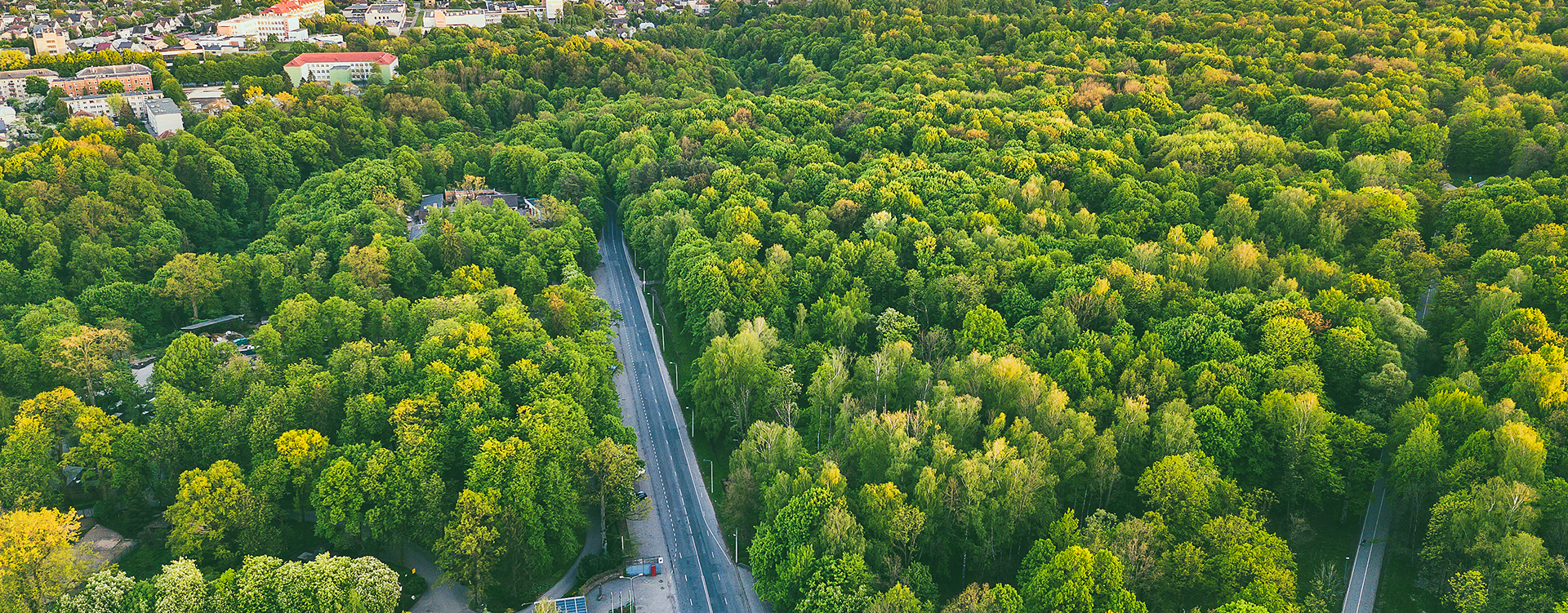 Da Nang Coastal ResortsOn-site food waste composting