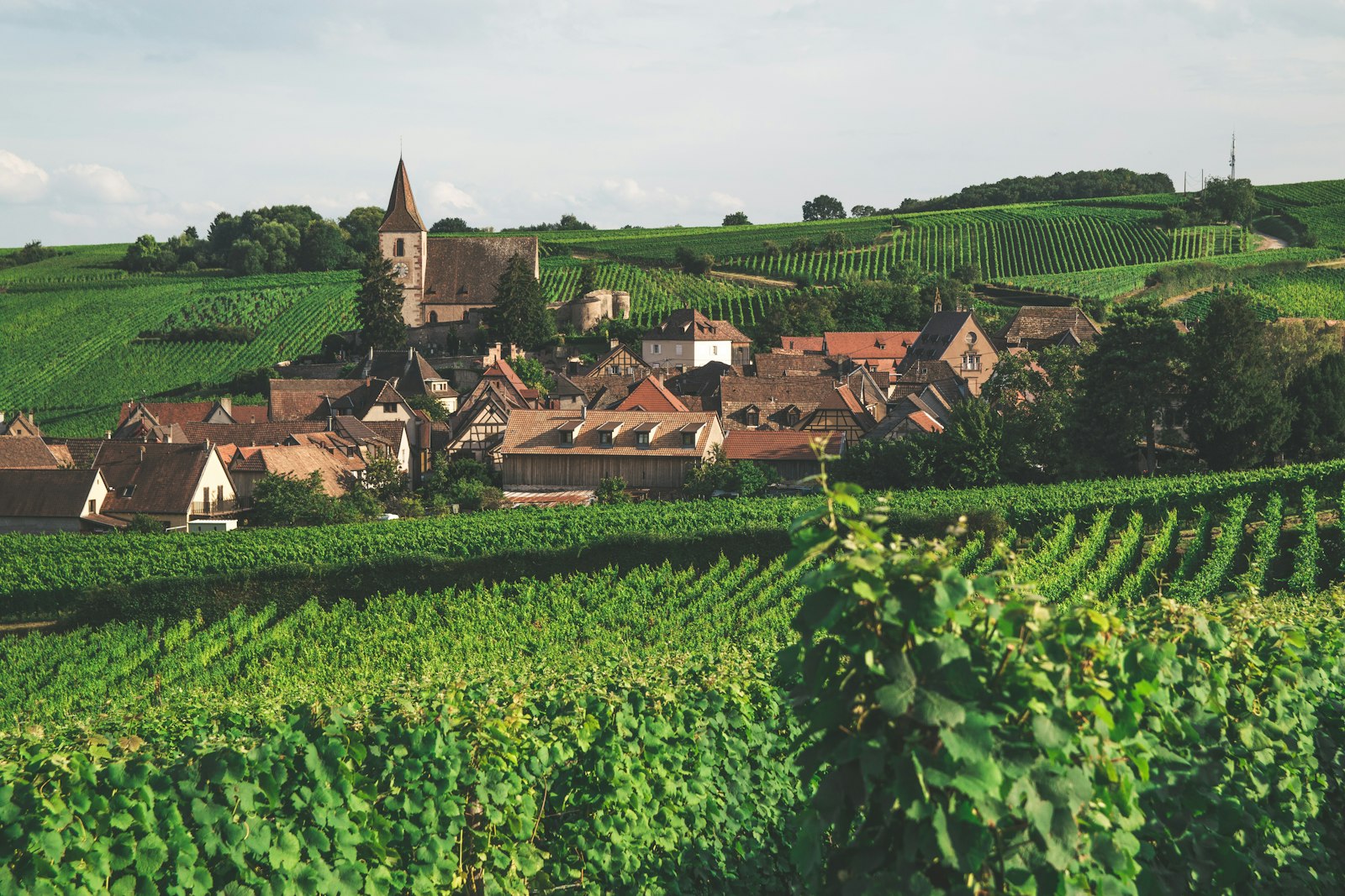 Village et campagne d'Occitanie, illustration de la reprise d'entreprise et de la cession de fonds de commerce