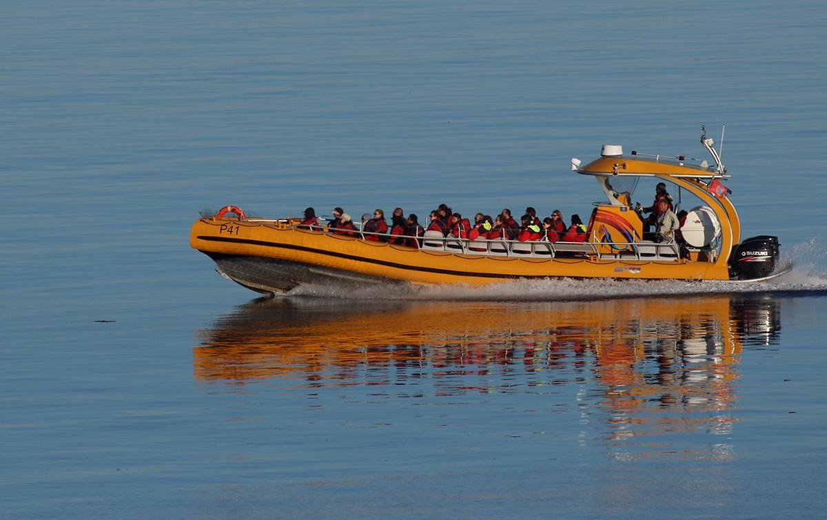 Zodiac grand confort pour croisières aux baleines