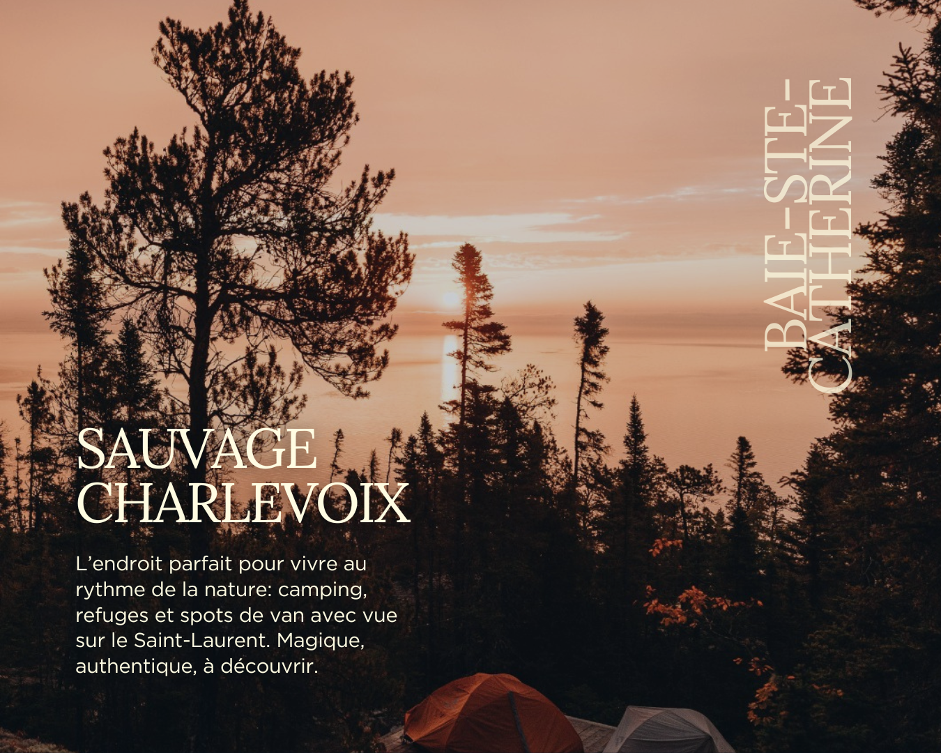 Sauvage Charlevoix à Baie-Sainte-Catherine