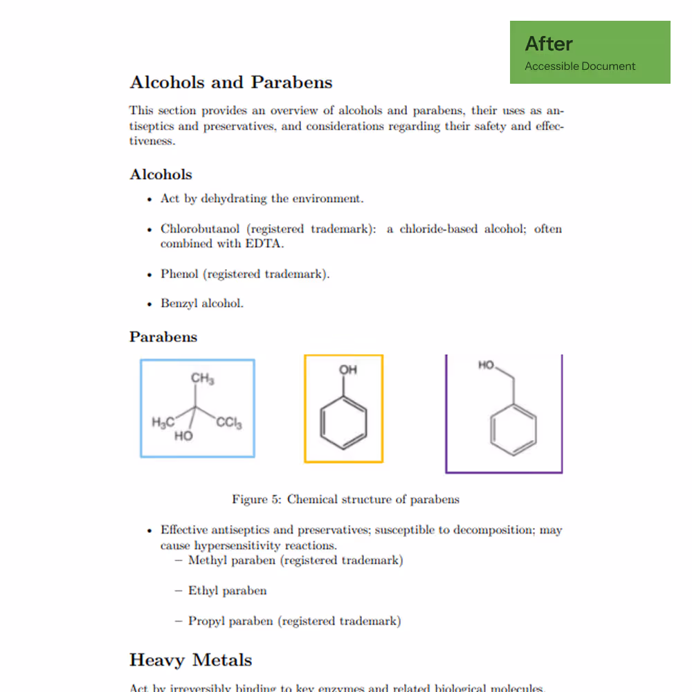 After remediation: the same page rebuilt as a tagged, accessible document with real headings, bullet lists and a captioned figure.