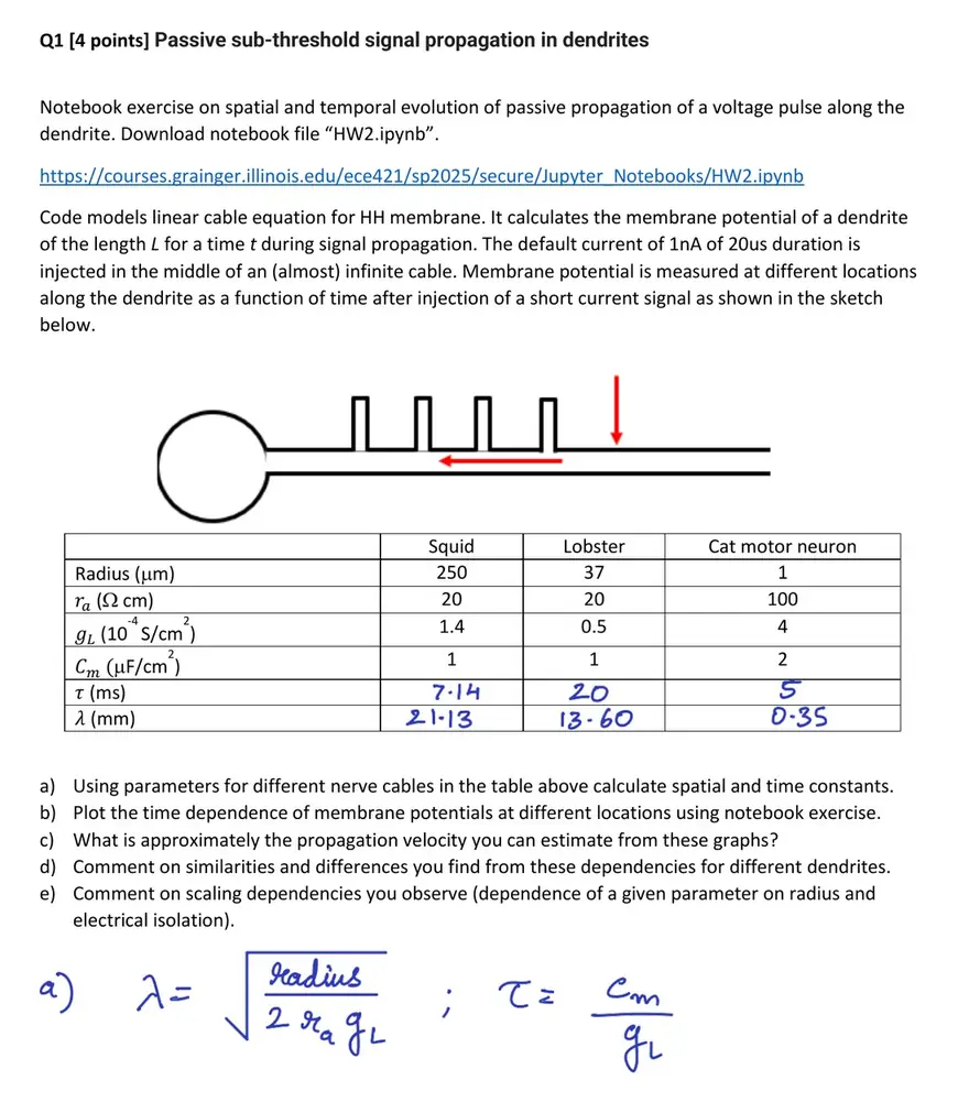 Original homework PDF, question 1: body text, a course link, a dendrite sketch, a parameter table whose time and length constants are handwritten in blue ink, and a handwritten formula for the length and time constants.