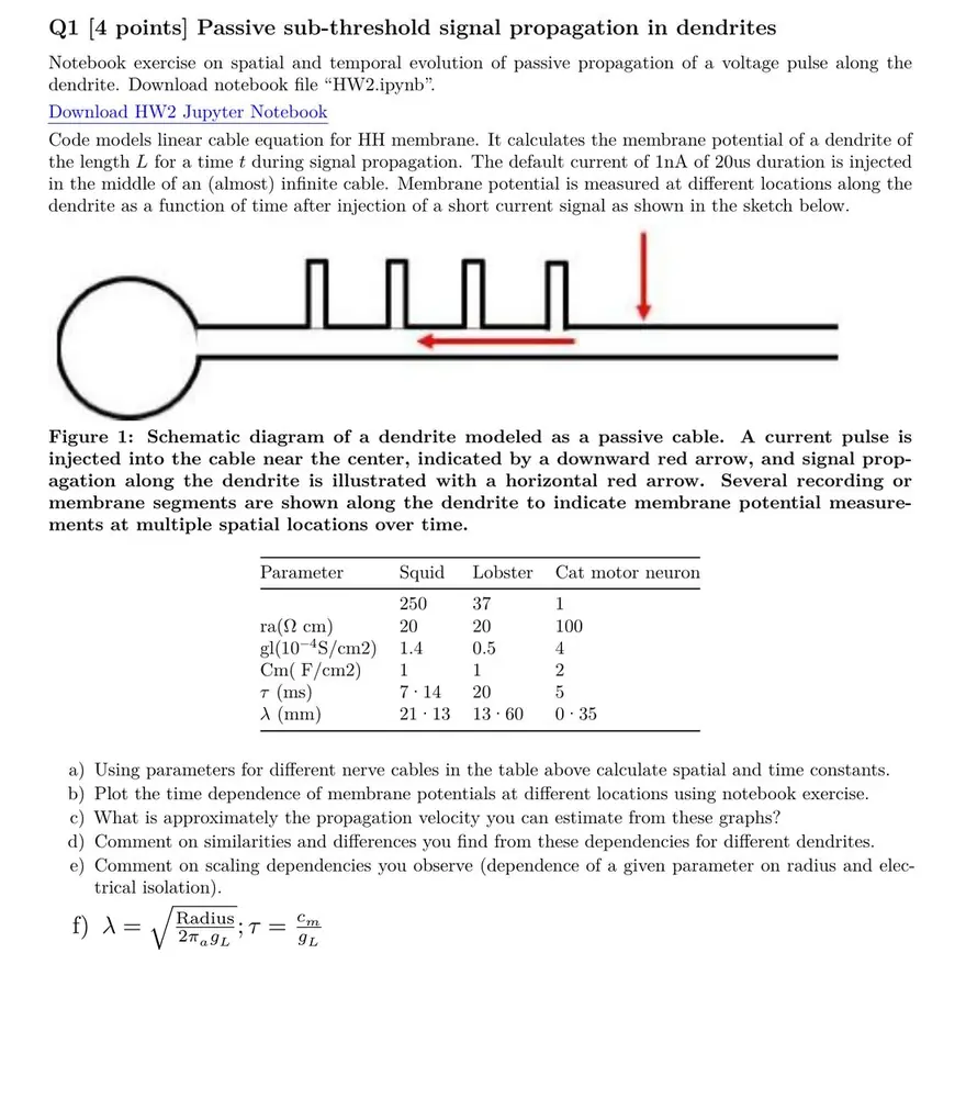 Remediated version of the same page: the handwritten values are now typed text in a structured table, the dendrite sketch has a written figure caption, and the formula is real math text.