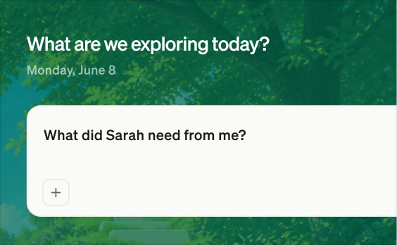 Start using Littlebird