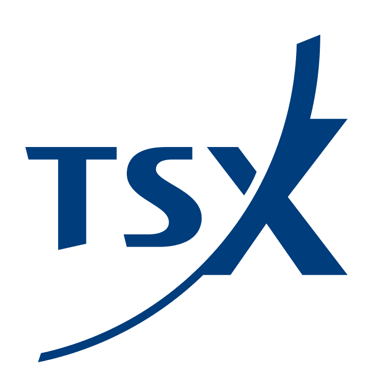 TSX Logo