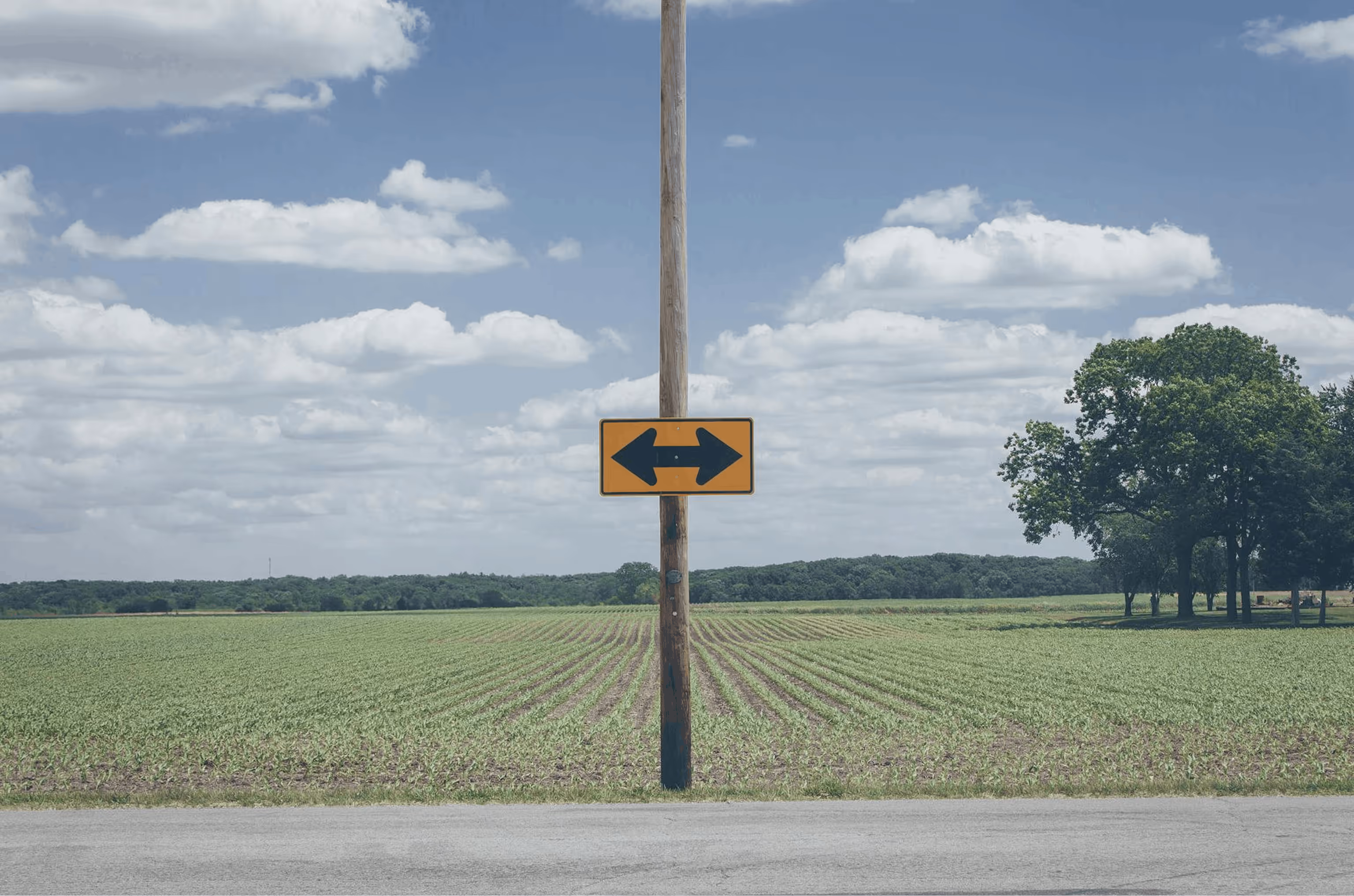 A yellow road sign with arrows pointing left and right mounted on a wooden pole in front of a green field under a partly cloudy sky.