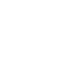 NXT LVL Accountants Logo
