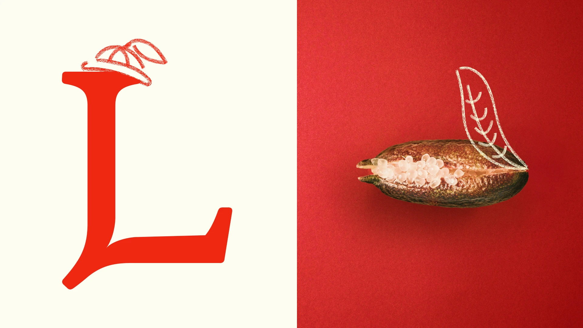 An L character with illustrations of a lime hat next another image of finger lime pearls with an illustration of a leaf