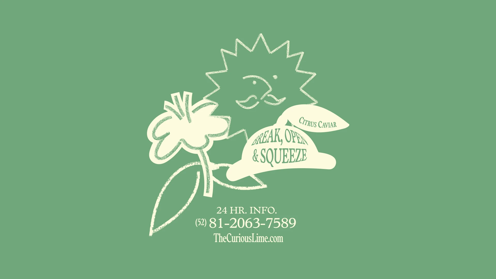 cartoon, illustration and drawing of different elements of the brand