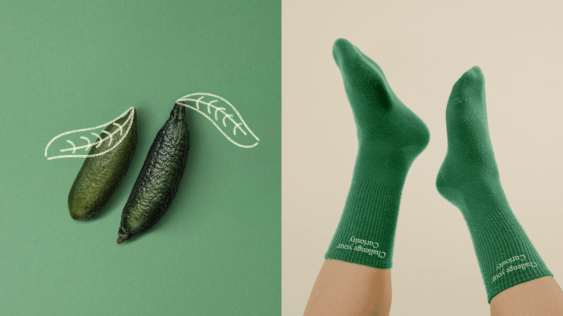 Finger lime pearls with leaf illustrations next to another image of socks with the phrase challenge your curiosity