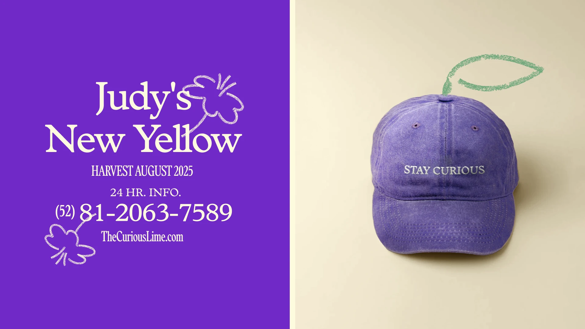 typographic composition next to another image of a cap with the phrase stay curious and a leaf illustration