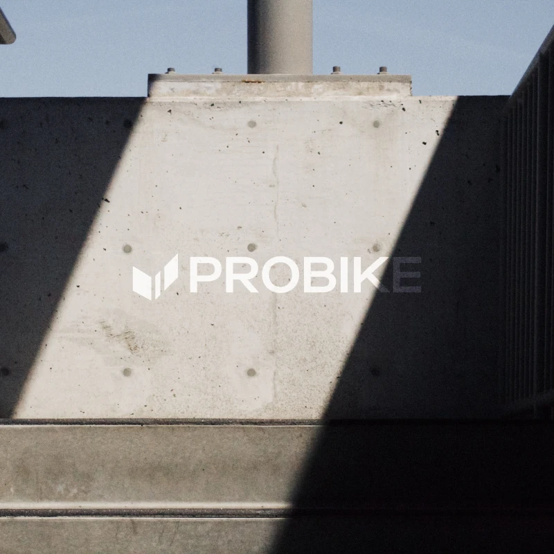 Probike logo exploration