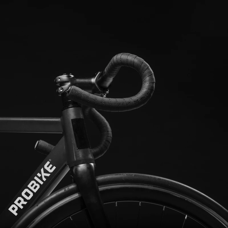 Probike logo exploration