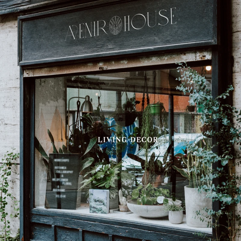 Avenir House store front and logo exploration