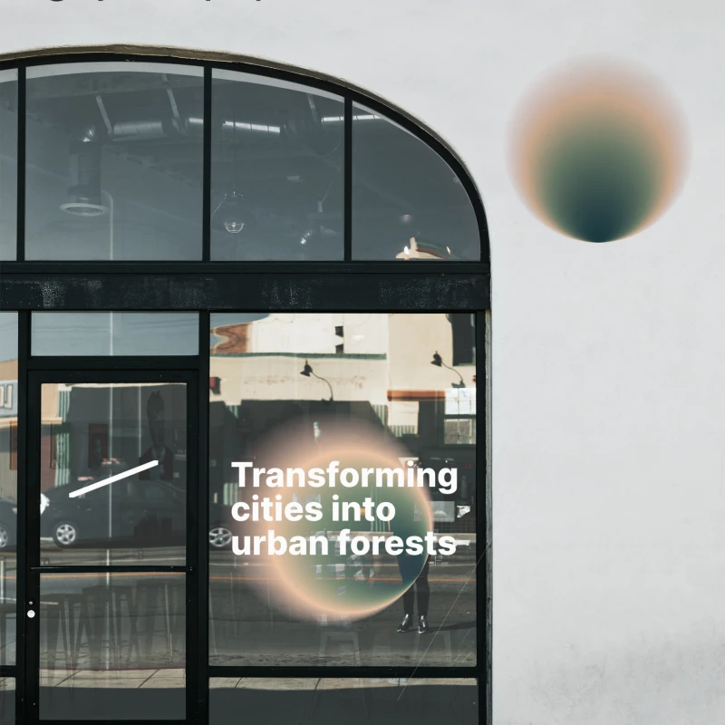 Green City store front exploration