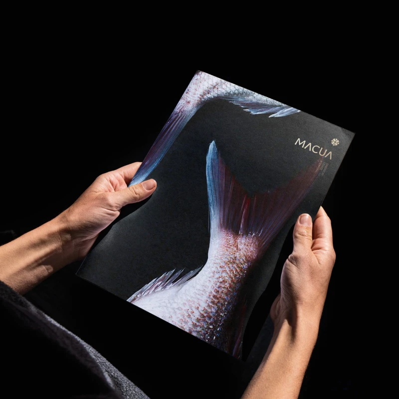 Printed media of Casa Macua