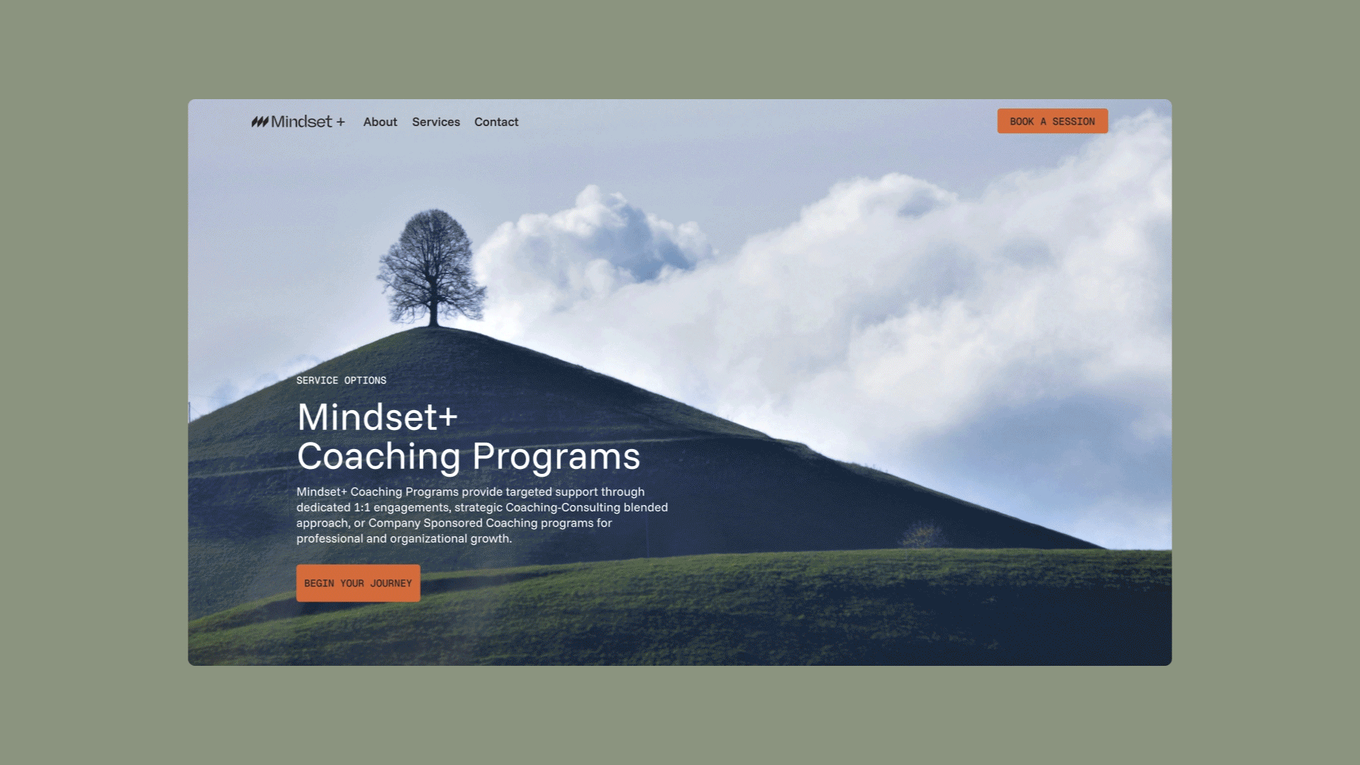 Mindset + web screens