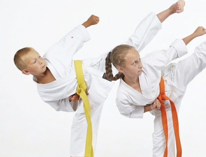 Family Karate Class