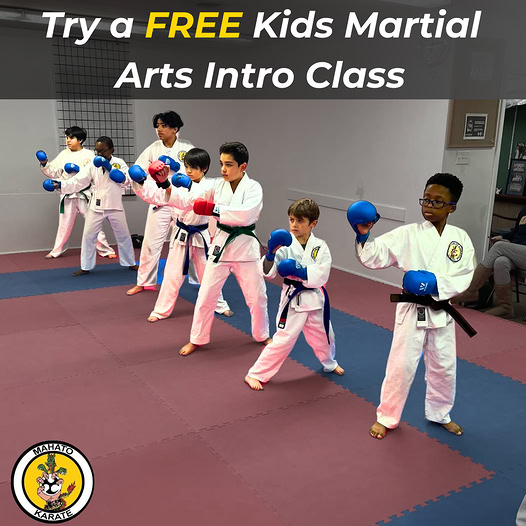Kids Karate Class