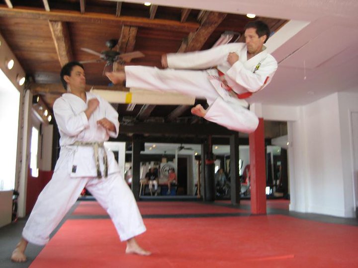 Adult Traditional Karate