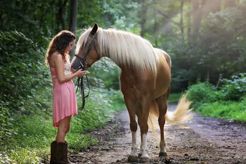 Séance d’équithérapie dans le cadre de la médiation animale avec un cheval