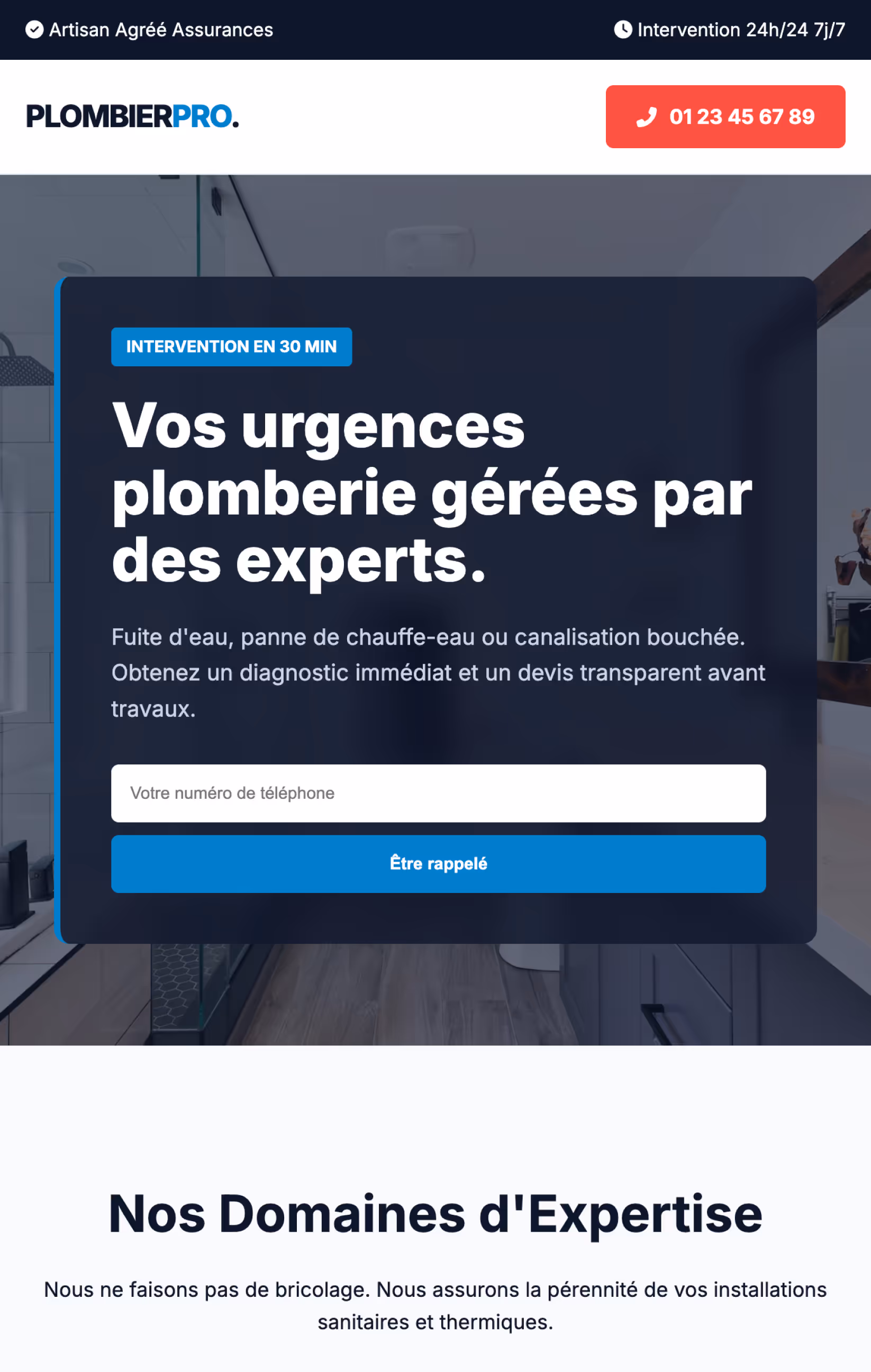 Website header offering expert plumbing emergency services with 30-minute intervention and a phone call request form.