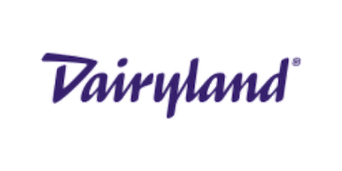 Dairyland brand logo in purple script text on a white background.