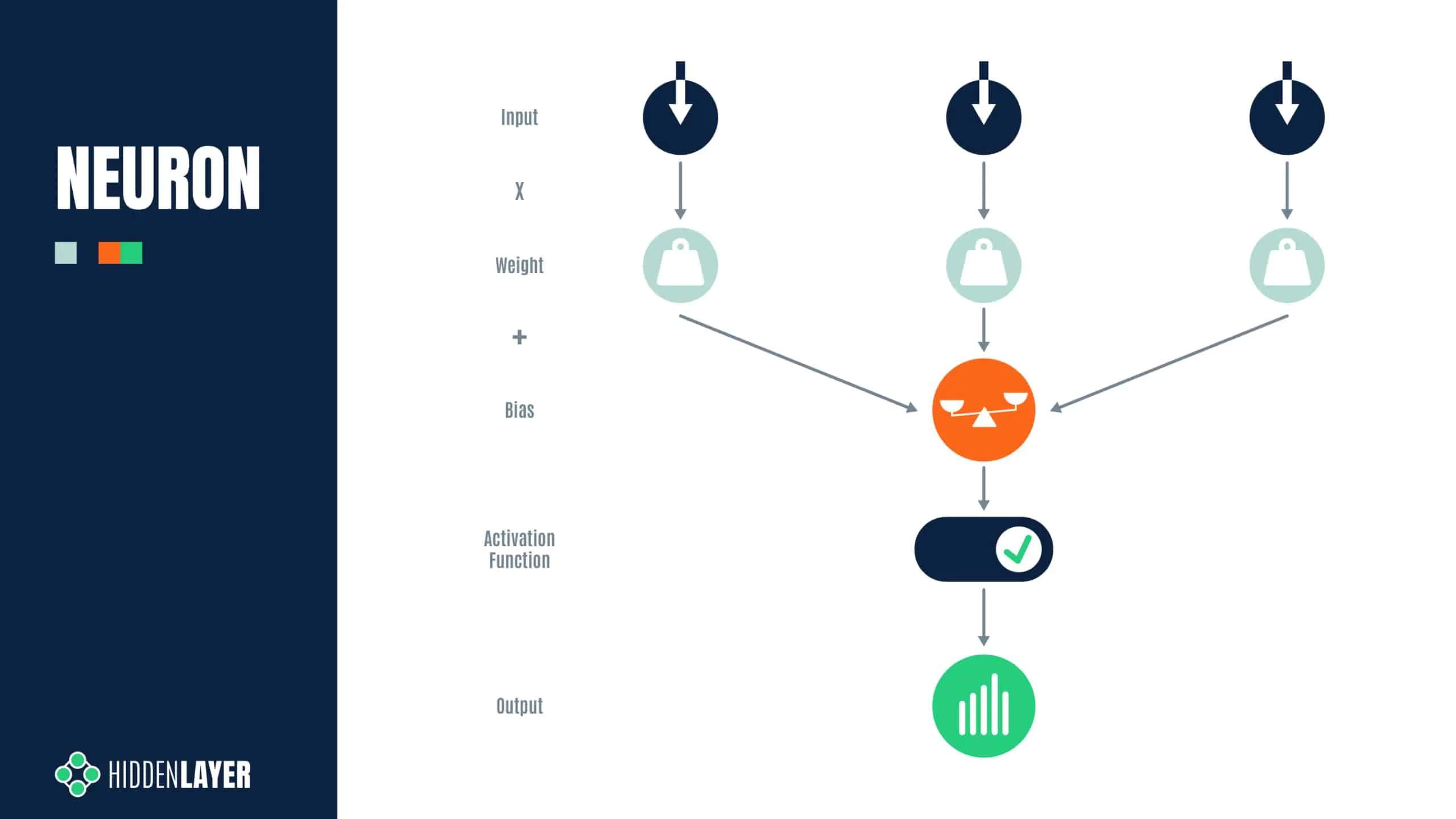 Simplified diagram of a neuron