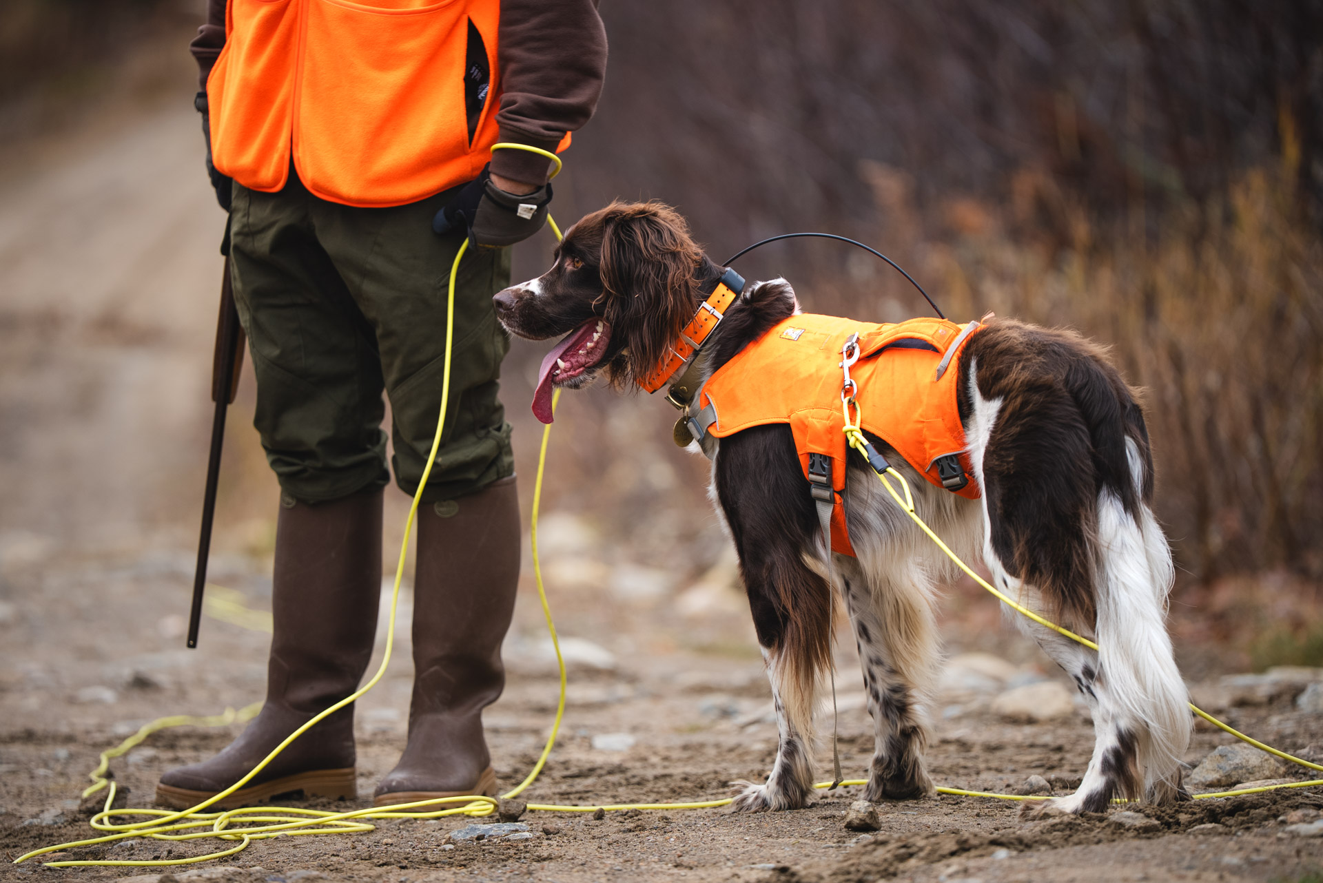 Épisode 9 - Pendaison de crémaillère
