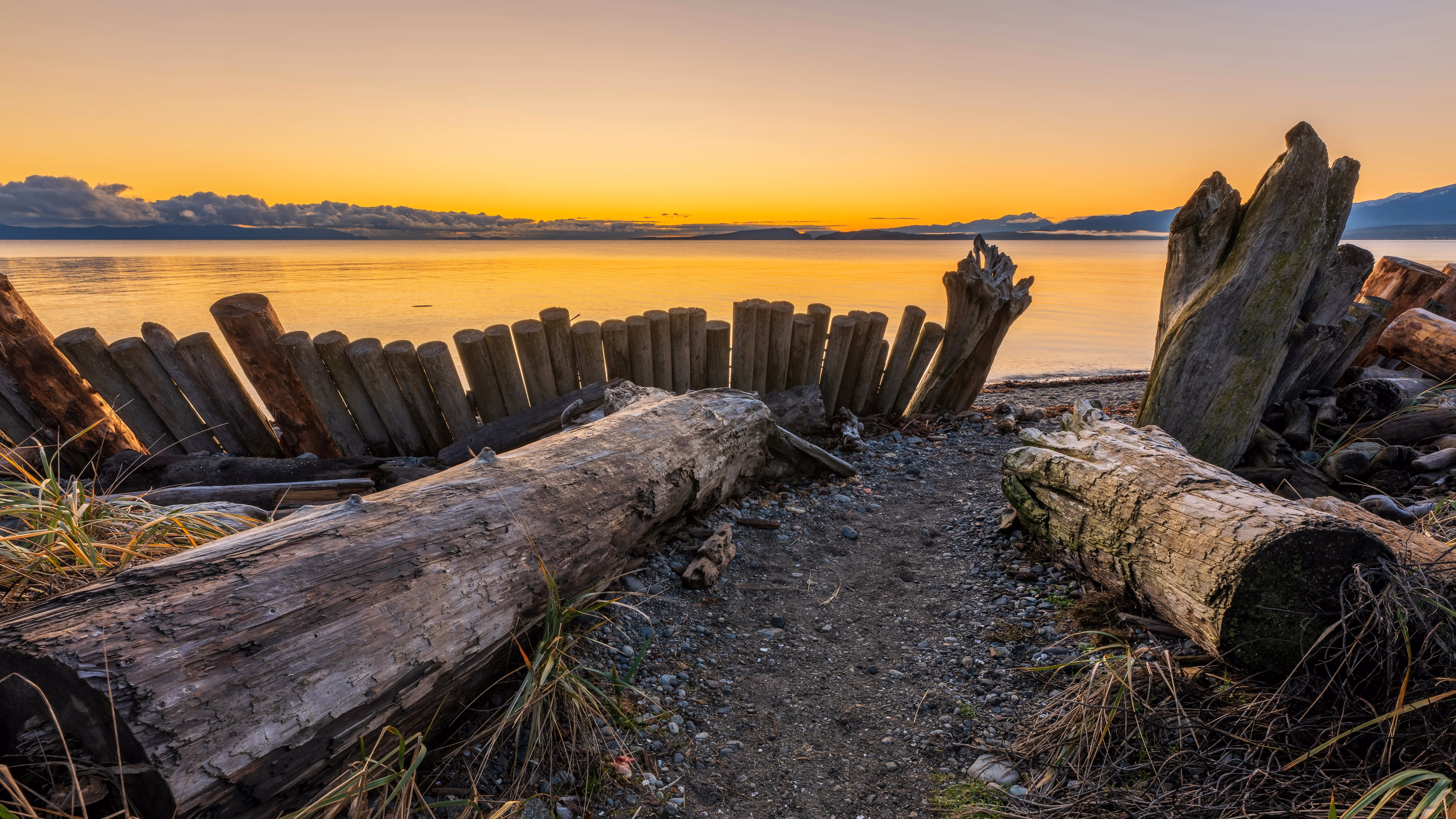 Driftwood logs framing a narrow path to the ocean at sunset at Goose Spit in Comox, British Columbia.