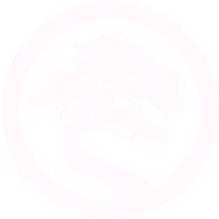 Headshot of Matthew Genadry