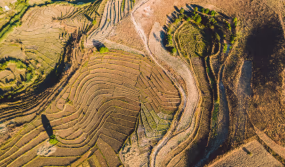 Aerial view of terraced agricultural fields with varied shades of brown and green.