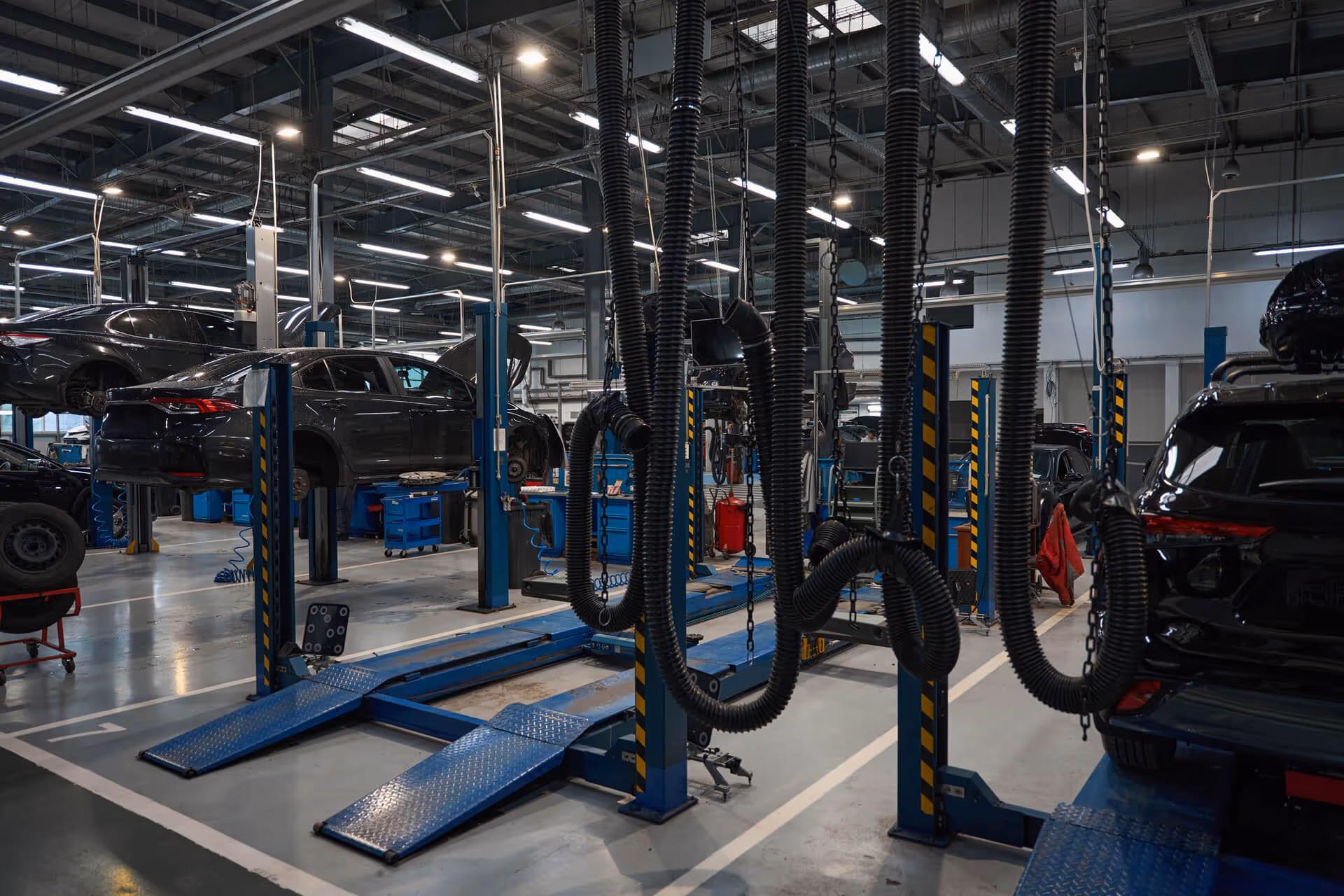 Modern automotive repair shop with multiple black cars lifted on blue hydraulic lifts and overhead exhaust hoses.